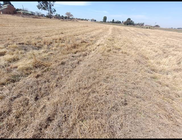 23,250M² VACANT LAND FOR SALE IN VONGEUSOPARK